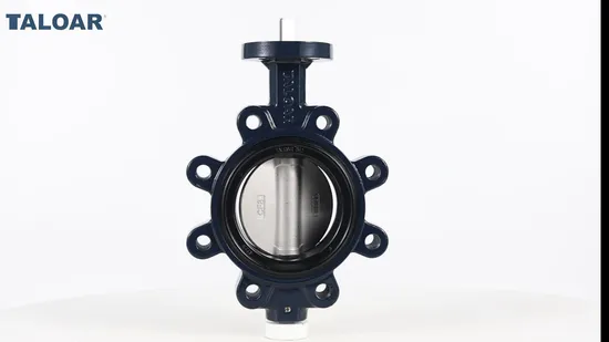 Pin-Free Valve Shaft EPDM Lever Lug Ductile Iron Butterfly Valve